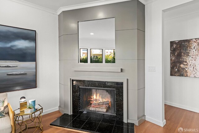 536 Wisconsin St, San Francisco, CA 94107 - detailed view of a high end fireplace, wood finished floors, and crown molding