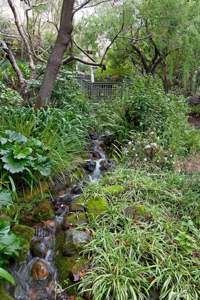 536 Wisconsin St, San Francisco, CA 94107 - view of yard