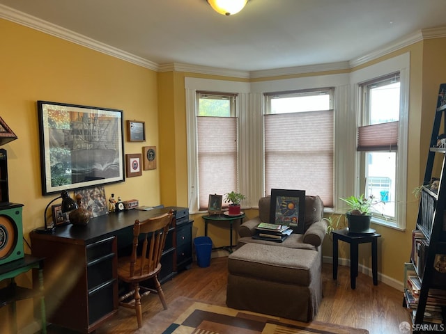 office with crown molding and dark hardwood / wood-style floors