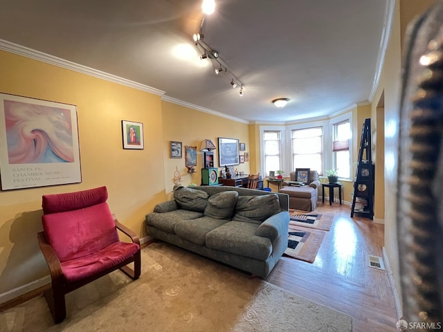 living room with crown molding, track lighting, and light parquet flooring