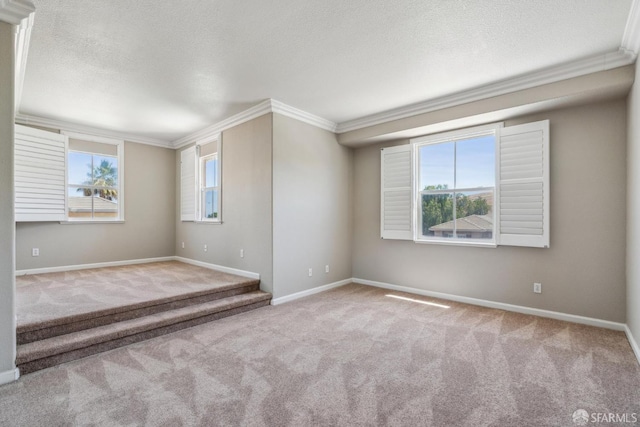5317 Judsonville Dr, Antioch, CA 94531 - empty room featuring crown molding, carpet flooring, a textured ceiling, and baseboards