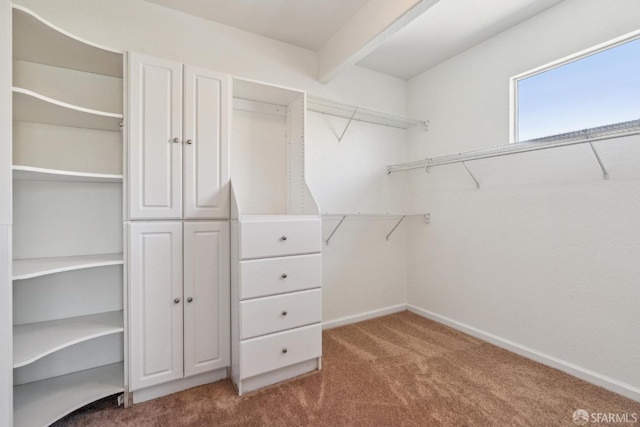 5317 Judsonville Dr, Antioch, CA 94531 - spacious closet with carpet flooring
