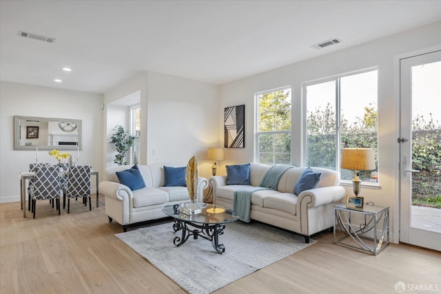 living room featuring light wood-type flooring