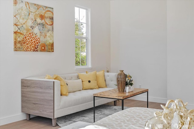 living area with wood-type flooring