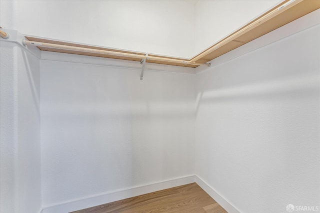 spacious closet with wood-type flooring