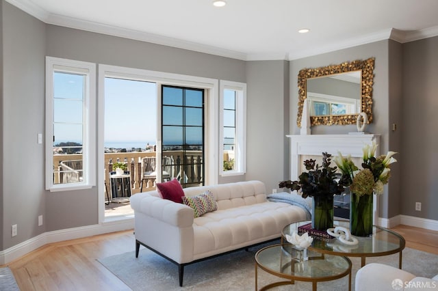 living room with light wood-type flooring and crown molding