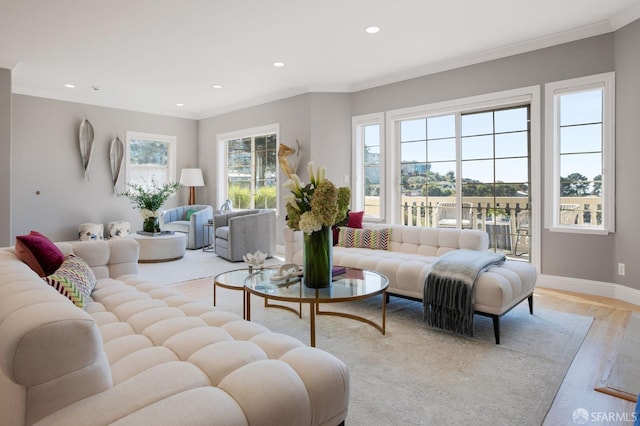 living room featuring light hardwood / wood-style floors and crown molding