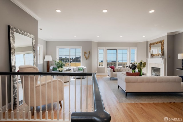 living room with crown molding and light hardwood / wood-style flooring