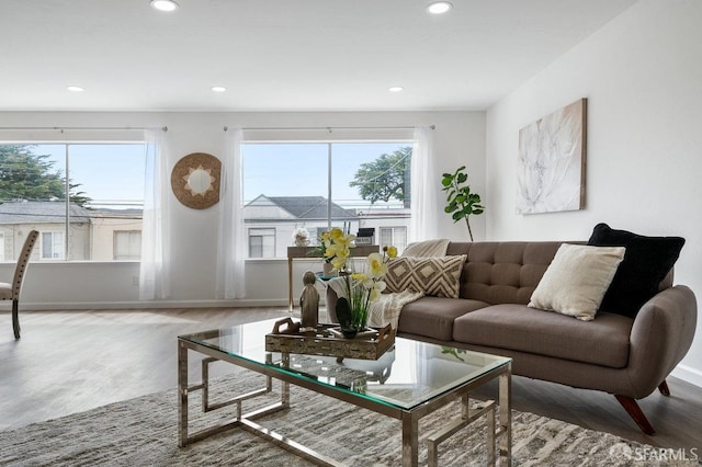 living room featuring hardwood / wood-style floors