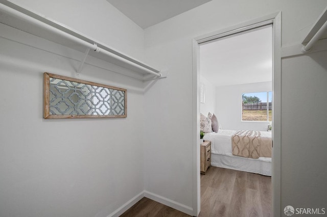 spacious closet with hardwood / wood-style floors