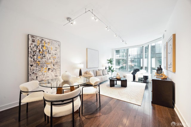 living room featuring dark hardwood / wood-style flooring, a wall of windows, and track lighting