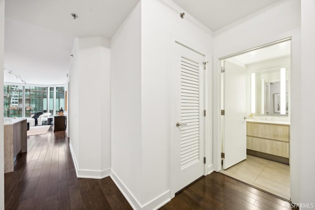 hall featuring wood-type flooring