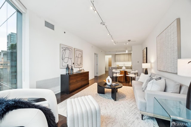 living room featuring hardwood / wood-style flooring and track lighting