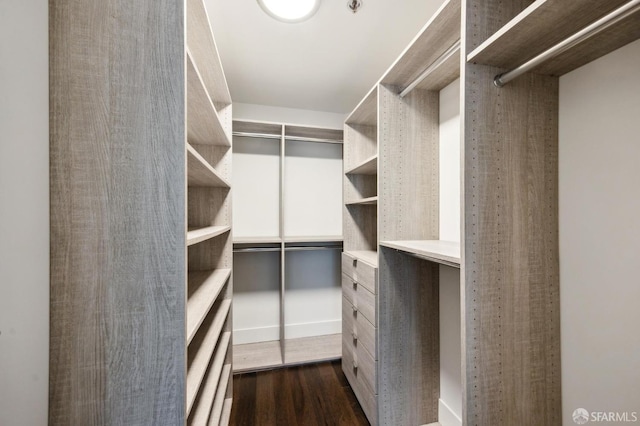 spacious closet featuring dark hardwood / wood-style floors