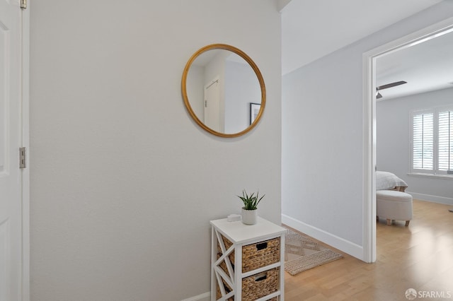 490 33rd Ave Unit 201, San Francisco, CA 94121 - photo 5