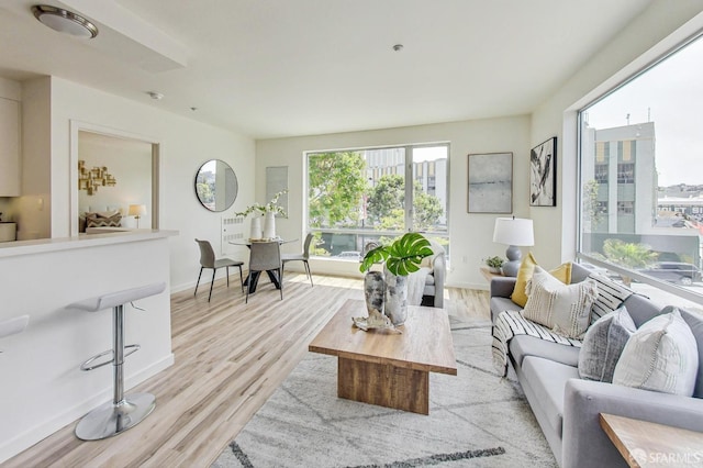 living room with light wood-type flooring