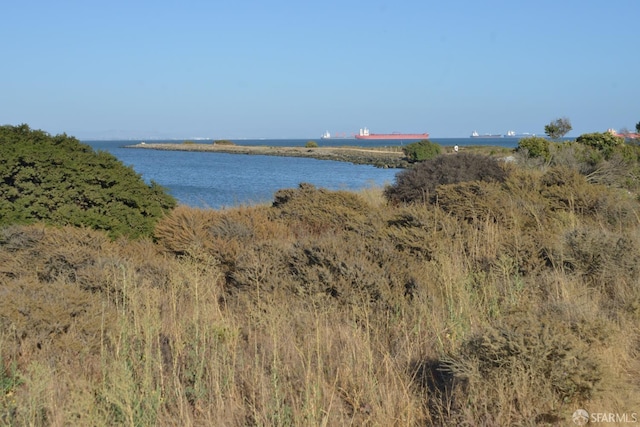 939 Innes Ave, San Francisco, CA 94124 - water view