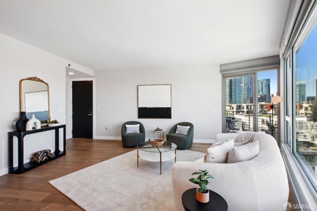 living area featuring baseboards, a city view, and wood finished floors