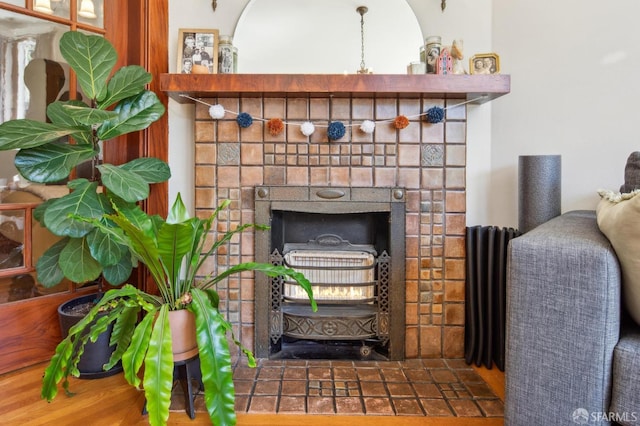 522 Liberty St, San Francisco, CA 94114 - interior details featuring a fireplace and radiator