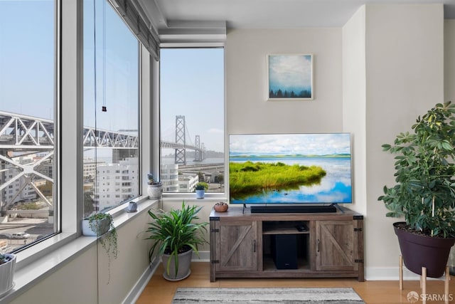 unfurnished living room featuring light hardwood / wood-style floors and plenty of natural light