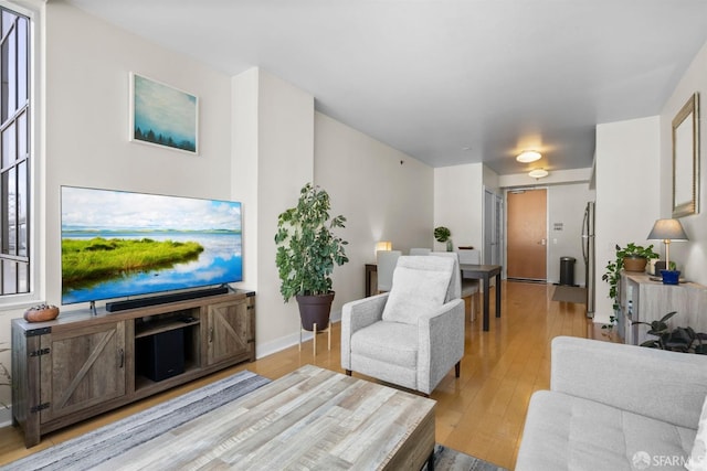 living room with light hardwood / wood-style floors