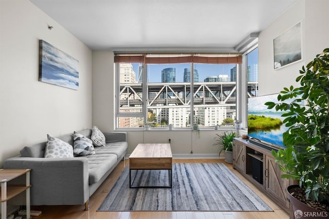 living room featuring light hardwood / wood-style flooring