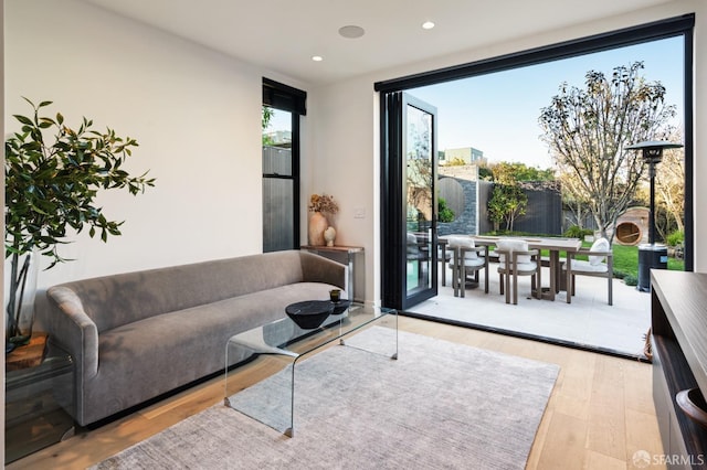 living room featuring light wood-type flooring