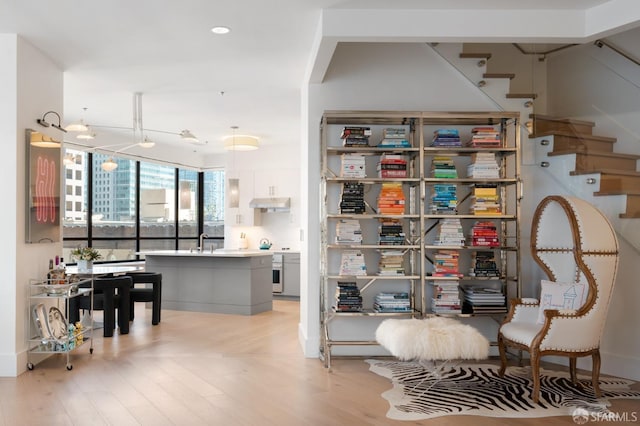 interior space with light hardwood / wood-style floors and sink