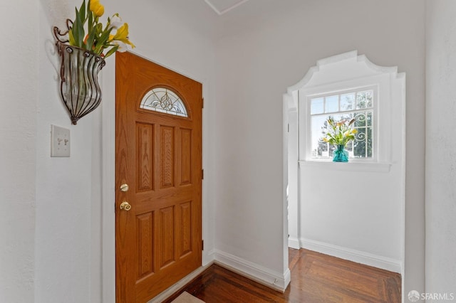 entryway featuring dark hardwood / wood-style flooring