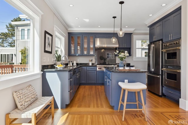 kitchen with a kitchen island, glass insert cabinets, appliances with stainless steel finishes, under cabinet range hood, and a sink