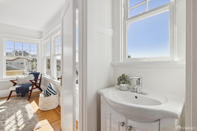 bathroom featuring a sink, wood finished floors, and a healthy amount of sunlight