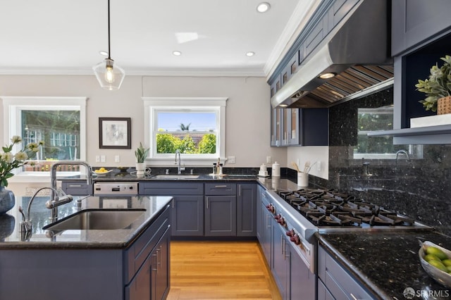 kitchen featuring under cabinet range hood, ornamental molding, and a sink