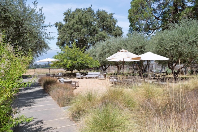 3487 Alexander Valley Rd, Healdsburg, CA 95448 - photo 11