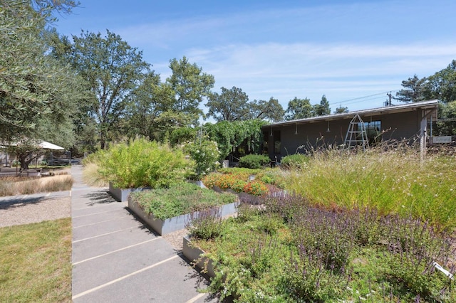 3487 Alexander Valley Rd, Healdsburg, CA 95448 - photo 8