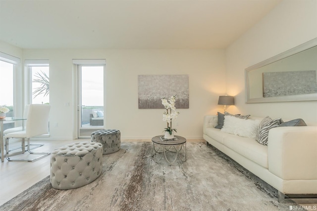 living room with baseboards and wood finished floors