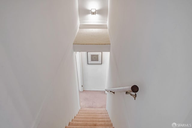 staircase with carpet