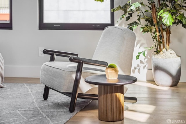 living area with a healthy amount of sunlight and wood-type flooring