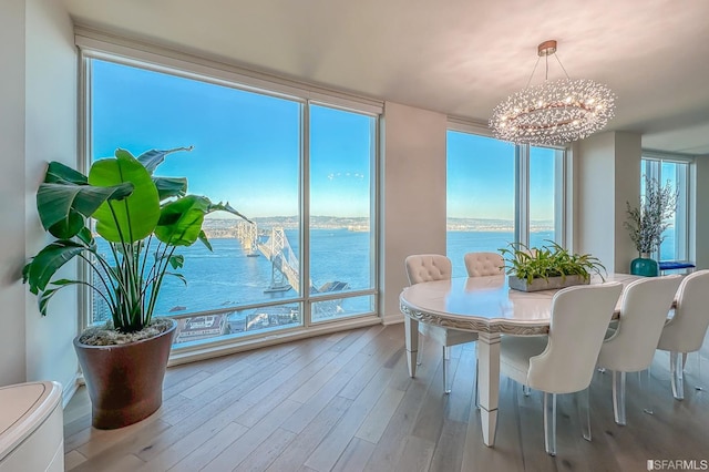 dining space featuring a water view, a wealth of natural light, and light wood-type flooring