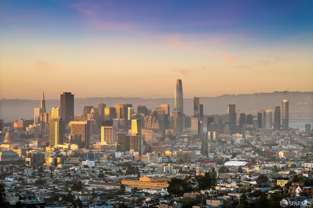 11 Perego Ter Unit 6, San Francisco, CA 94131 - skyline view