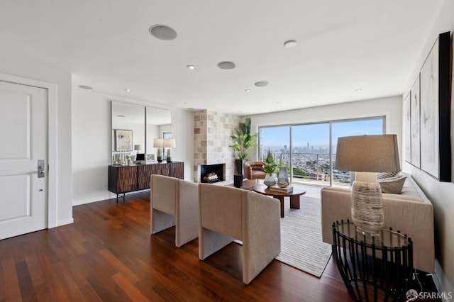 11 Perego Ter Unit 6, San Francisco, CA 94131 - living area featuring dark wood-style flooring, a stone fireplace, and baseboards