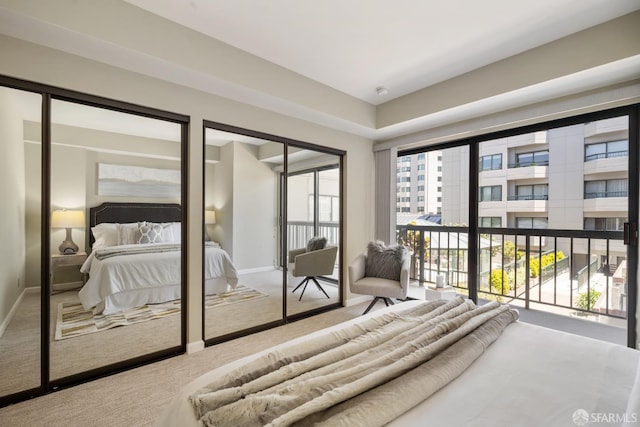 601 Van Ness Ave Unit 35, San Francisco, CA 94102 - bedroom with carpet flooring and multiple closets