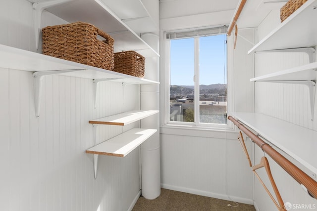 walk in closet featuring carpet flooring