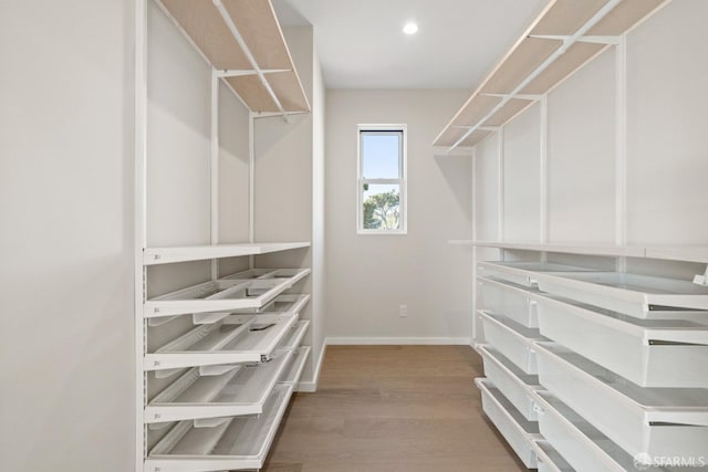 walk in closet featuring wood finished floors