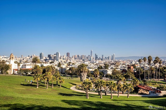 3870 18th St, San Francisco, CA 94114 - view of property's community with a lawn and a view of skyline