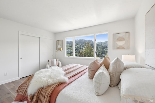bedroom featuring a closet and wood finished floors