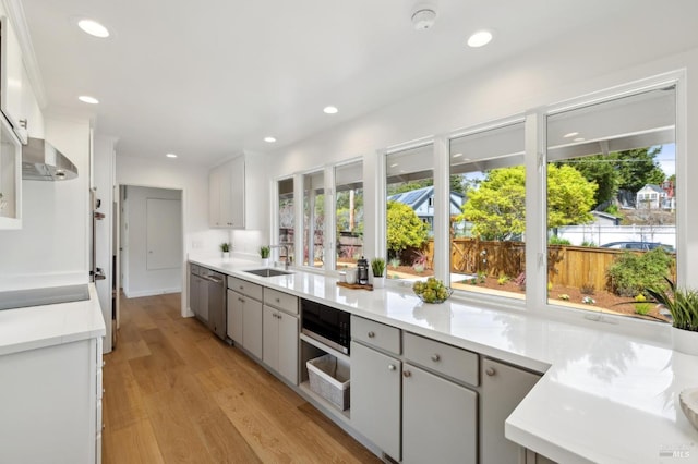 kitchen featuring wall chimney exhaust hood, stainless steel dishwasher, a sink, and a wealth of natural light
