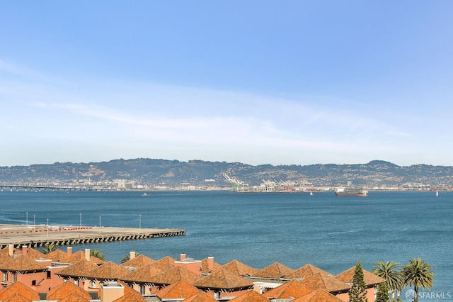 229 Brannan St Unit 12C, San Francisco, CA 94107 - water view featuring a mountain backdrop
