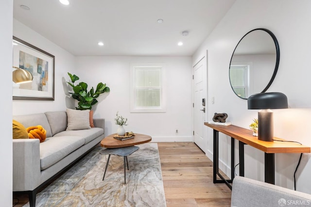 living room with light hardwood / wood-style floors and a wealth of natural light