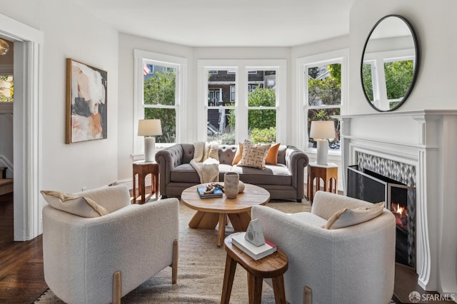 61 Homestead St, San Francisco, CA 94114 - living room featuring a fireplace and wood finished floors