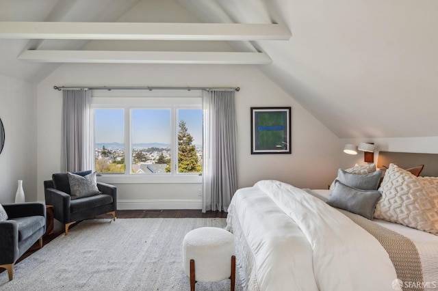 61 Homestead St, San Francisco, CA 94114 - bedroom with baseboards and a mountain view